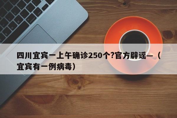 四川宜宾一上午确诊250个?官方辟谣—(宜宾有一例病毒)