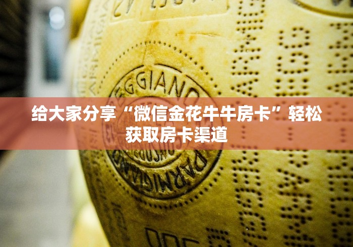 一分钟介绍使用“皇豪互娱在哪里买房卡”详细房卡教程