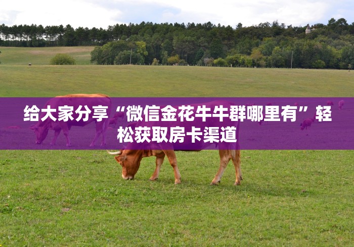 房卡必备教程“微信群金花房卡哪里充值”房卡链接获取
