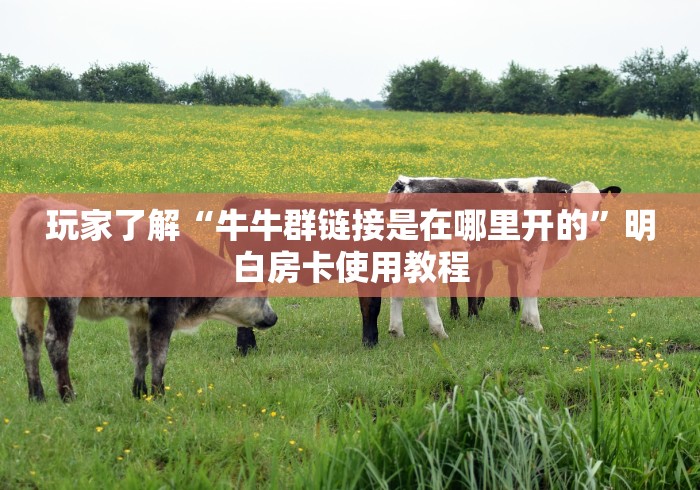 玩家必备教程“微信金花房卡怎样购买”链接房卡在哪里获取