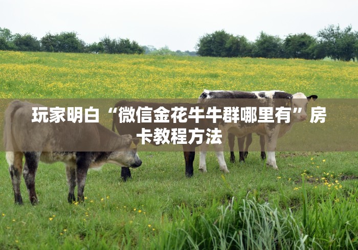 房卡必备教程“微信炸 金花房卡找谁买”房卡链接获取
