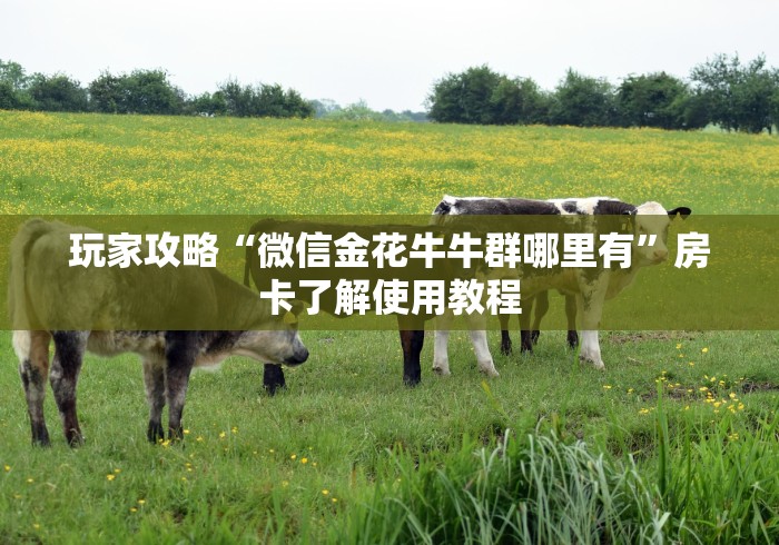 房卡必备教程“炸 金花房卡链接如何买”房卡获取方式