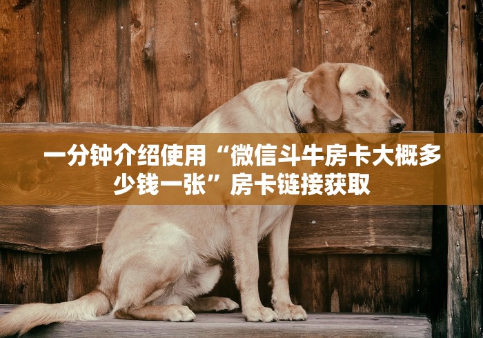 一分钟介绍使用“微信斗牛房卡大概多少钱一张”房卡链接获取