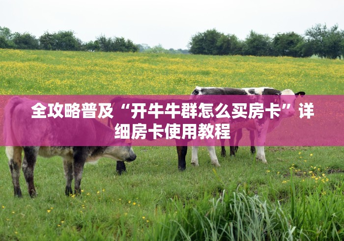 全攻略普及“开牛牛群怎么买房卡”详细房卡使用教程
