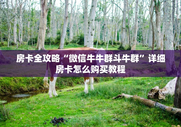 房卡全攻略“微信牛牛群斗牛群”详细房卡怎么购买教程