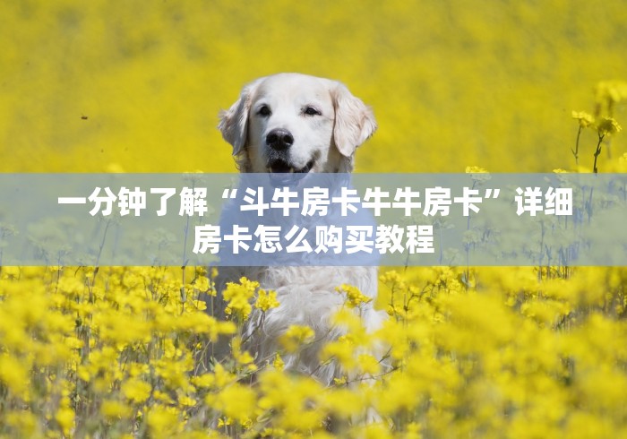 一分钟了解“斗牛房卡牛牛房卡”详细房卡怎么购买教程