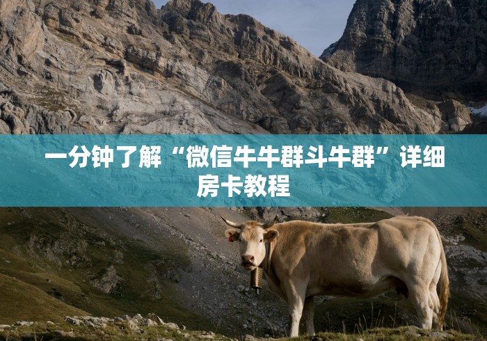 一分钟了解“微信牛牛群斗牛群”详细房卡教程