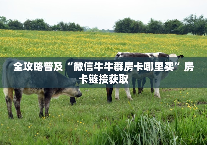 全攻略普及“微信牛牛群房卡哪里买”房卡链接获取