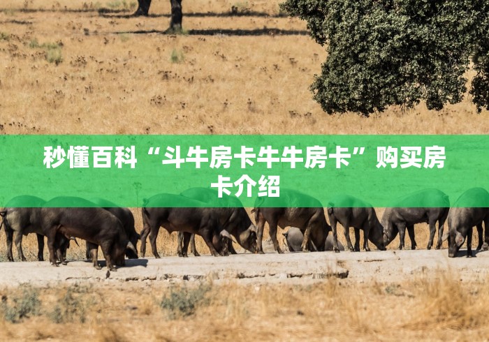 秒懂百科“斗牛房卡牛牛房卡”购买房卡介绍