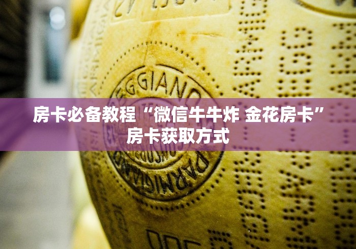 房卡必备教程“微信牛牛炸 金花房卡”房卡获取方式