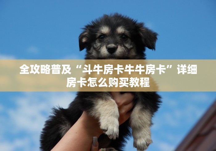 全攻略普及“斗牛房卡牛牛房卡”详细房卡怎么购买教程