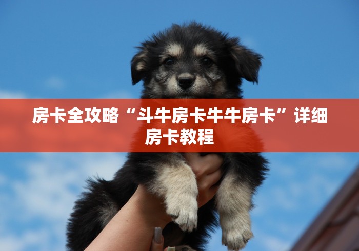 房卡全攻略“斗牛房卡牛牛房卡”详细房卡教程